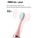 Bàn Chải Điện Cho Bé HOKU 4 Chế Độ, Đánh Sạch Răng, Chải Tự Động, Lông Bàn Chải Mềm Mại - BCD05